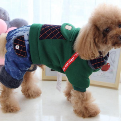 可可宠物 加盟图2