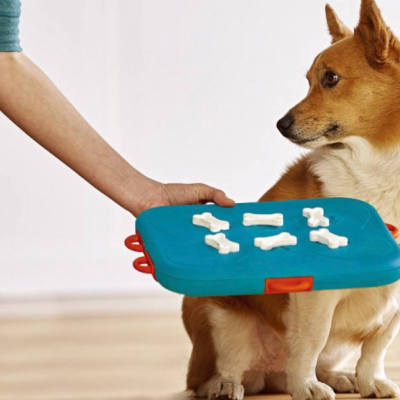 可可宠物 加盟图3