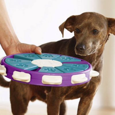 可可宠物 加盟图5