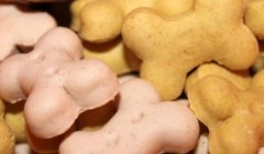 狗粮也加中药，宠物从“吃饱”转型“吃好” 国产品牌崛起驱动万亿元市场