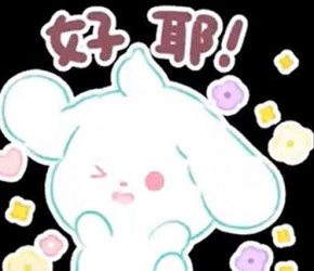 比熊犬狗粮怎么挑选？比熊专用狗粮推荐！