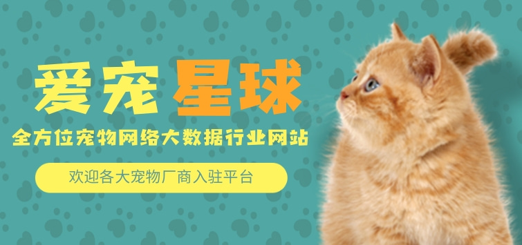 轮播图