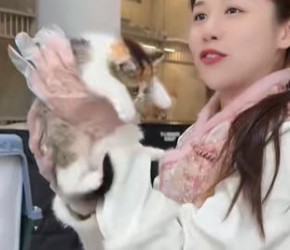 三花猫​​还有公的吗？