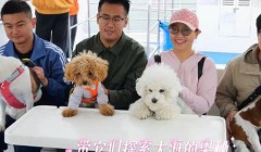 宠物也能坐船出海啦！青岛推出“宠物友好”海上游