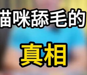 ​猫咪舔毛的真相！#科学养宠攻略