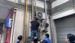 暖心接力！西宁社区多方协作，帮被困小猫平安归家