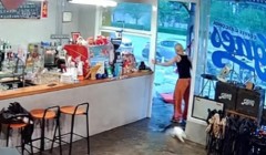 广东东莞一猫咪被台风吹得冲刺漂移进店内，店员：猫没事
