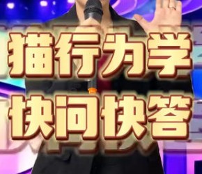 养猫​​考公​​知识​​问答，十题测试你能不能上岸！​