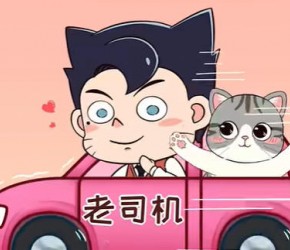 ​养猫​​老司机才知道的冷知识，你知道几个？